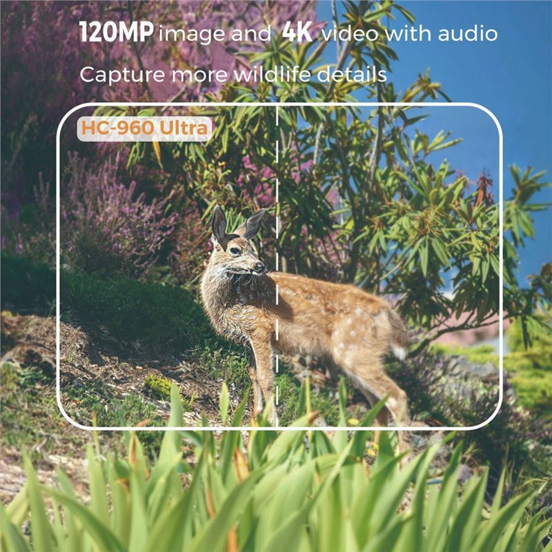 Y47A Fototrappola per Caccia e - Hunting And Outdoor Shows recensione e prezzo